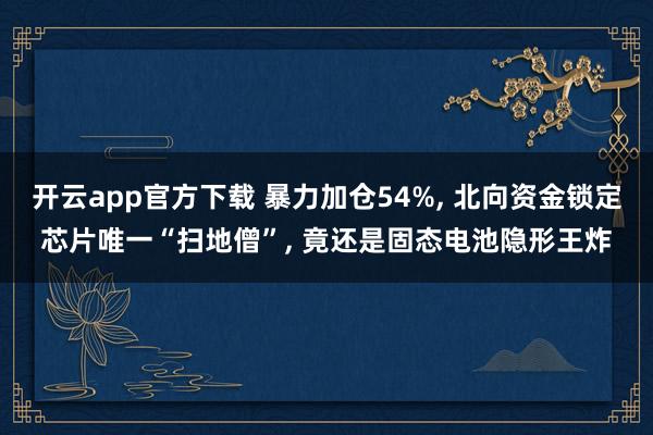 开云app官方下载 暴力加仓54%, 北向资金锁定芯片唯一“扫地僧”, 竟还是固态电池隐形王炸