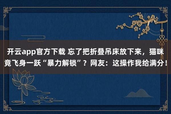 开云app官方下载 忘了把折叠吊床放下来，猫咪竟飞身一跃“暴力解锁”？网友：这操作我给满分！