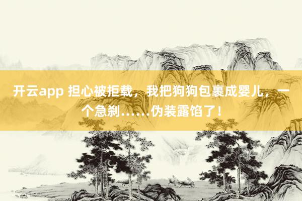 开云app 担心被拒载，我把狗狗包裹成婴儿，一个急刹……伪装露馅了！