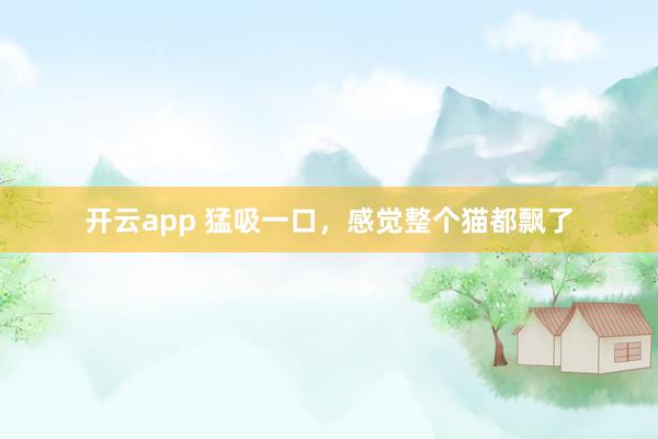 开云app 猛吸一口，感觉整个猫都飘了