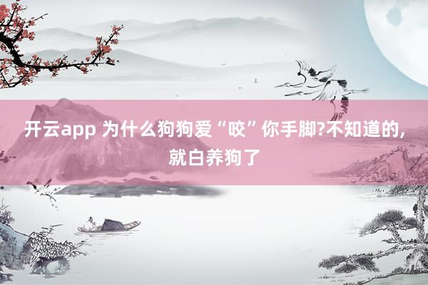 开云app 为什么狗狗爱“咬”你手脚?不知道的,就白养狗了