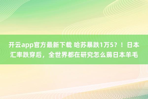 开云app官方最新下载 哈苏暴跌1万5？！日本汇率跌穿后，全世界都在研究怎么薅日本羊毛