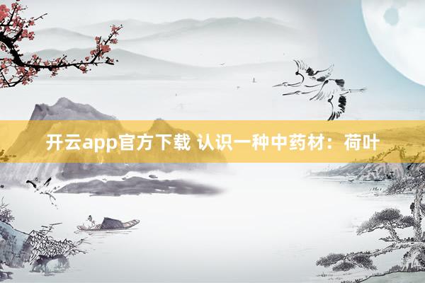 开云app官方下载 认识一种中药材：荷叶